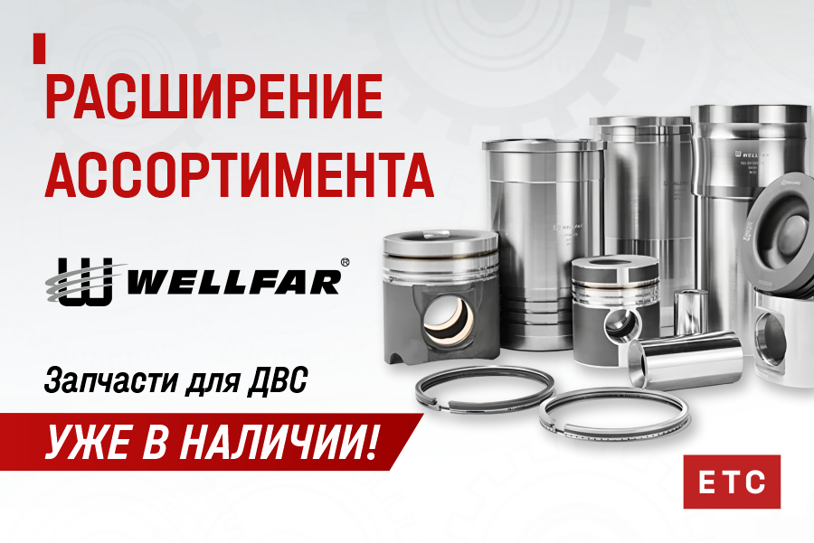 Запчасти WELLFAR для ДВС!